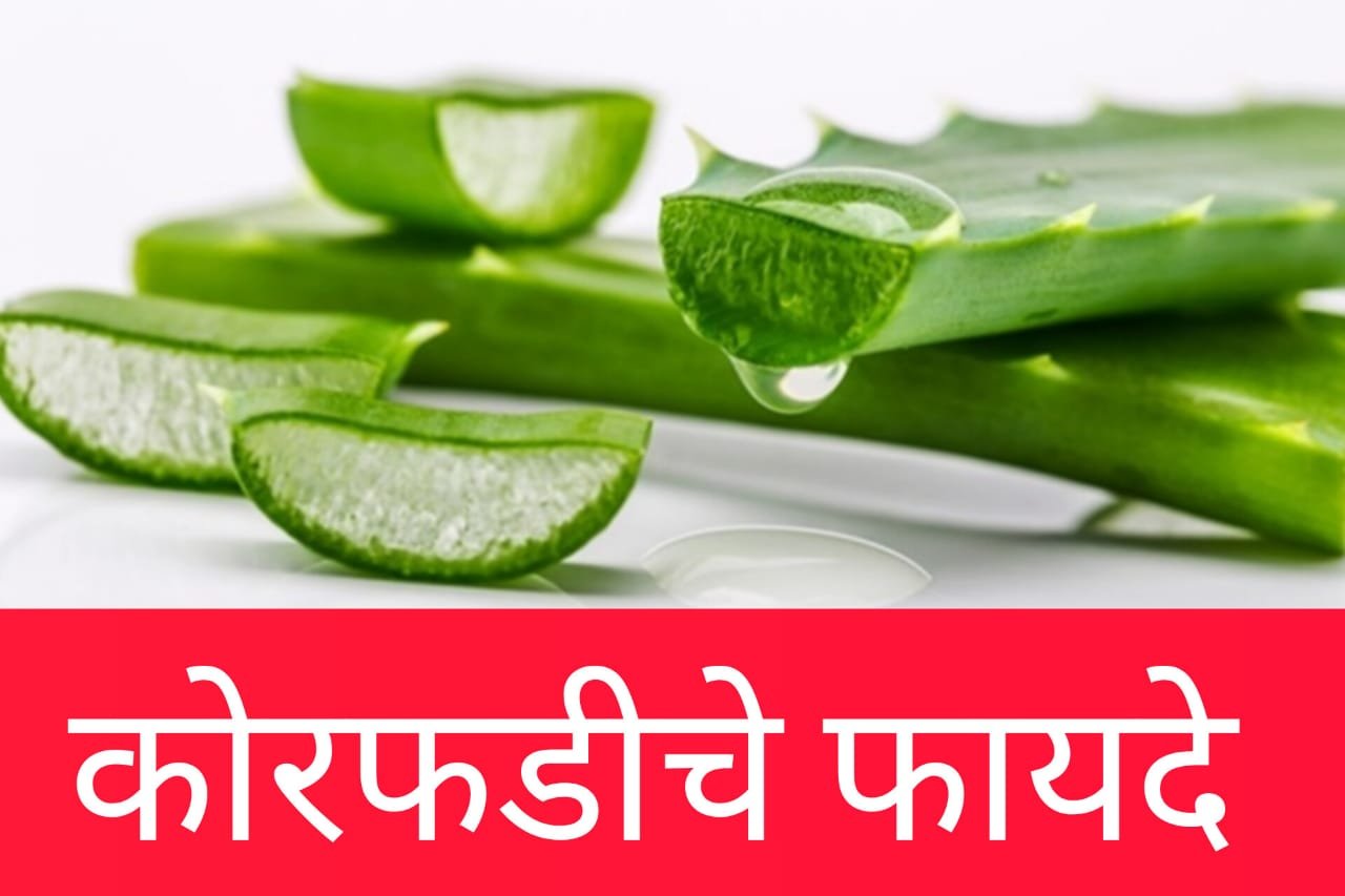 Aloe vera Health benefits: